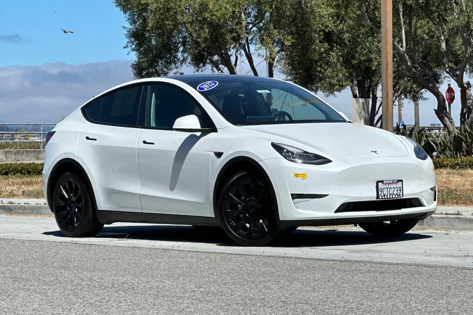 2022 Tesla Model Y Long Range