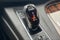2022 Cadillac Escalade 4WD Luxury